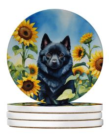 Schipperke in Sunflowers Large Sandstone Coasters Pack of 4 Absorbent Round Coasters Decor Gifts for Men or Women, 4 in, Multicolor